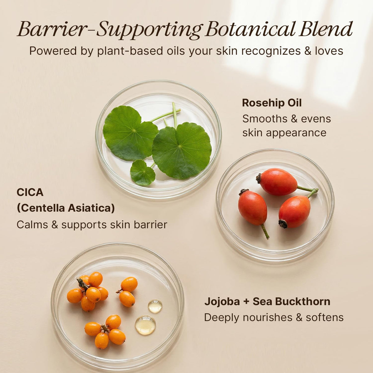 Beauty by Earth label detail highlighting USDA Organic certification