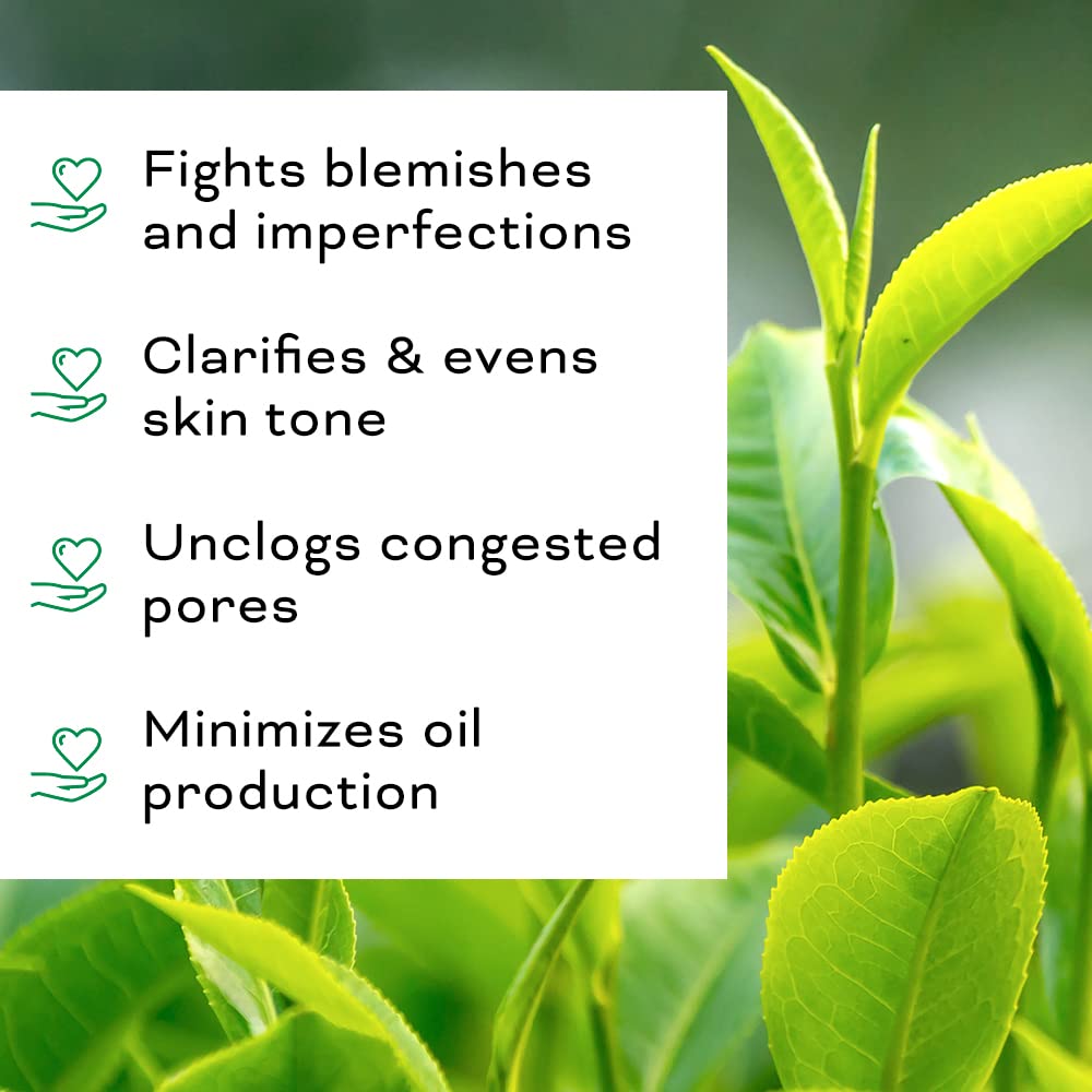 Beauty Foundry label and ingredients panel highlighting natural, antioxidant-rich formulation