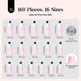 beetles full 160-piece layout with 16 sizes for quick selection