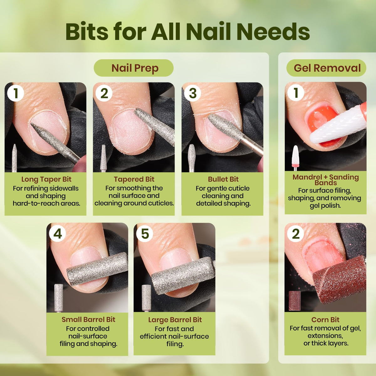 beetles drill bits and sanding bands spread highlighting versatile prep options