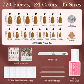 beetles nails held in hand to show short almond size and real-life scale