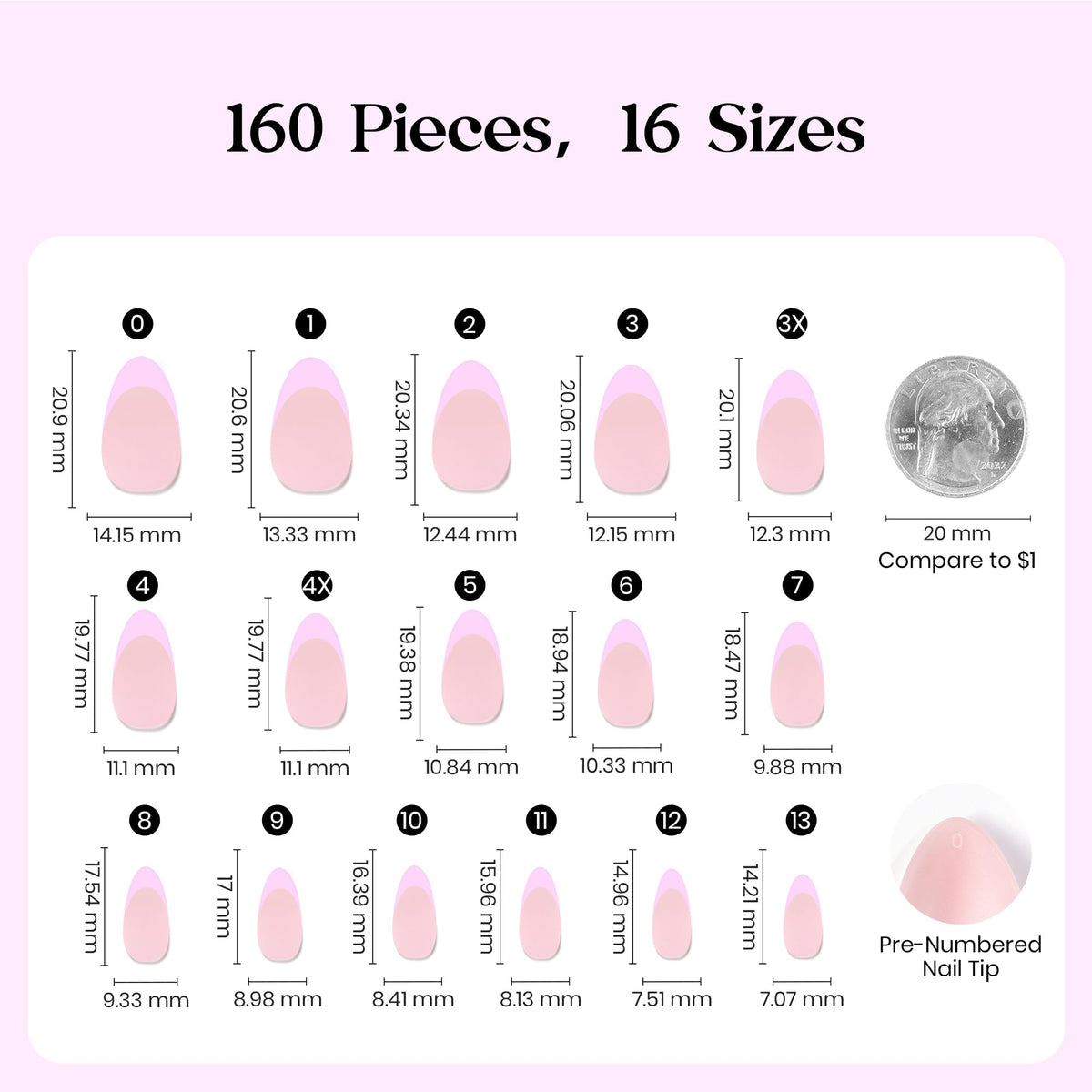 beetles Gel Polish arranged almond-shape nails highlighting consistent shape and color