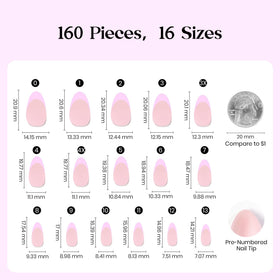 beetles Gel Polish arranged almond-shape nails highlighting consistent shape and color