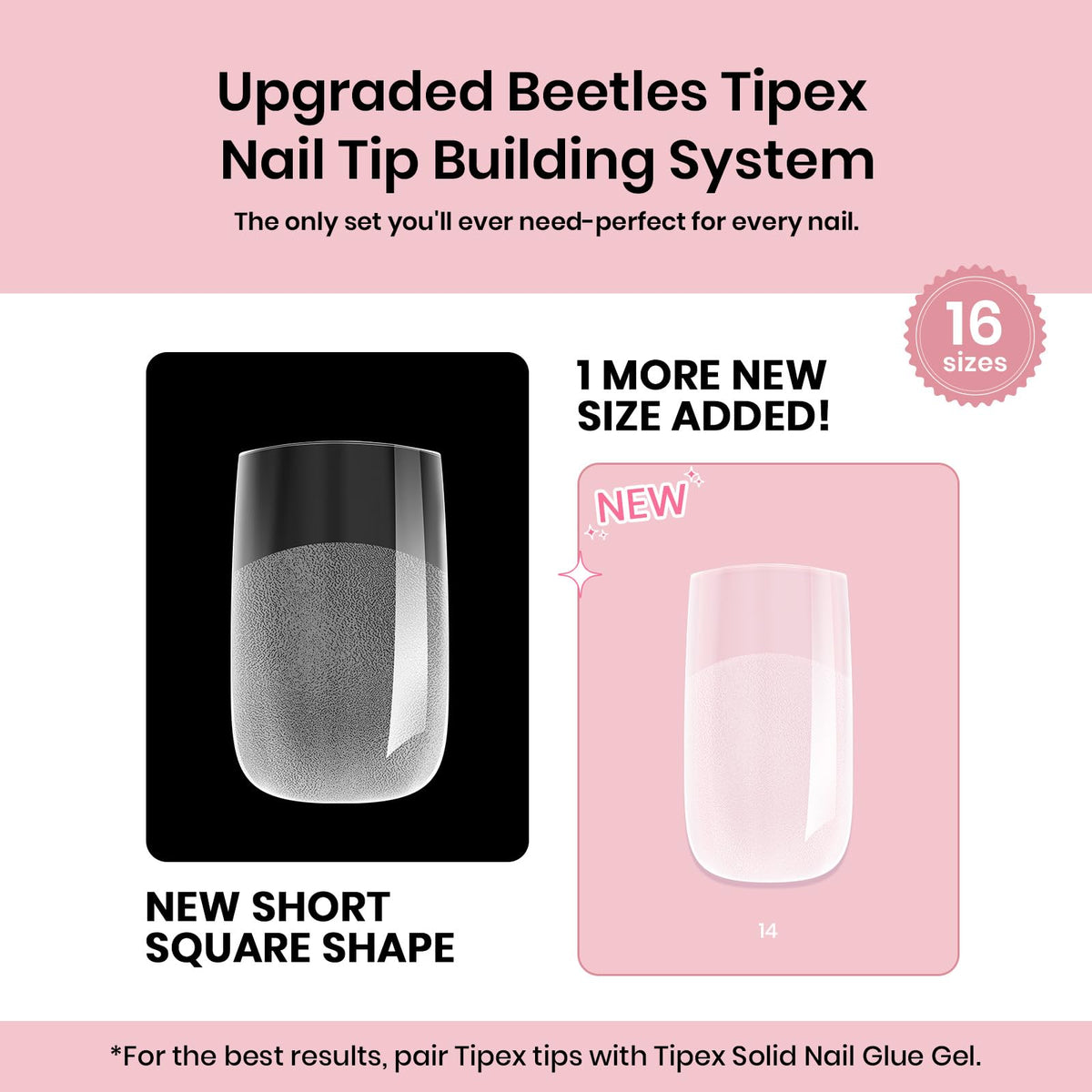 beetles tip next to coin scale for clear size and thickness reference