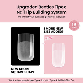 beetles tip next to coin scale for clear size and thickness reference