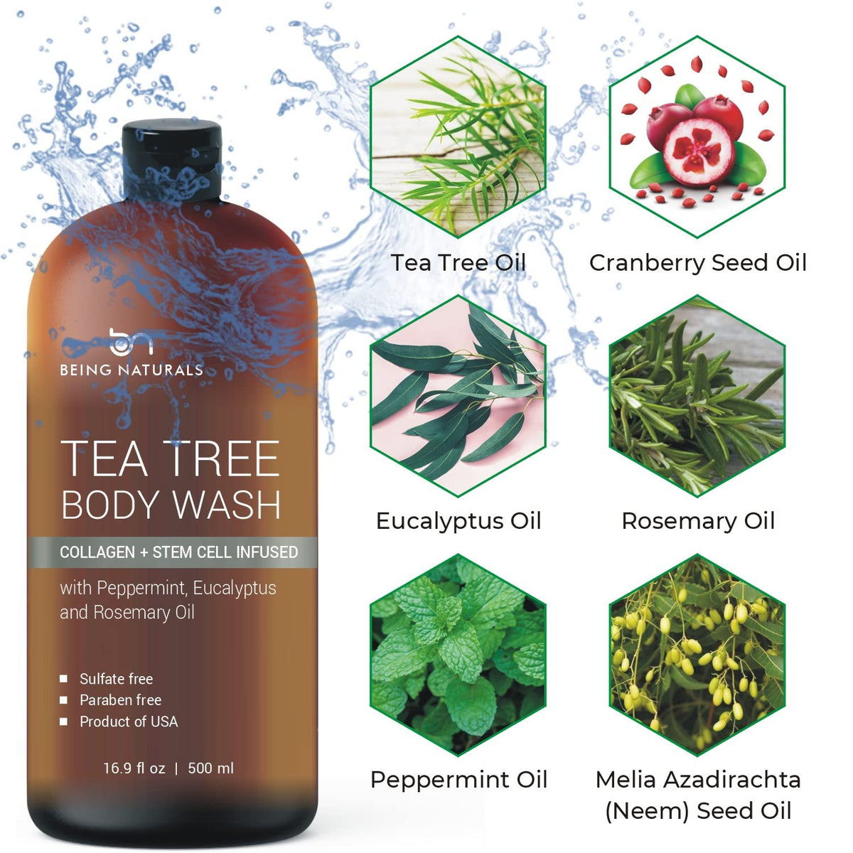 Being Naturals back label ingredients panel highlighting formulation