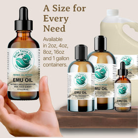 Bella Terra Oils boxed packaging ready for shipment supporting gift-ready appeal