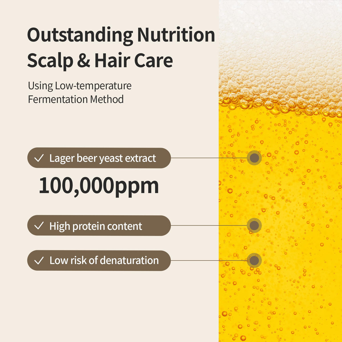 BENTON label close-up listing fermented extracts and active ingredients