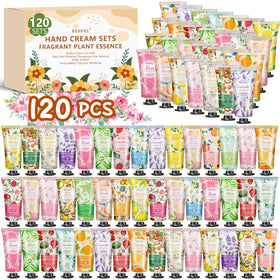 BESNEL front packaging showing 120-pack and variety for gifting