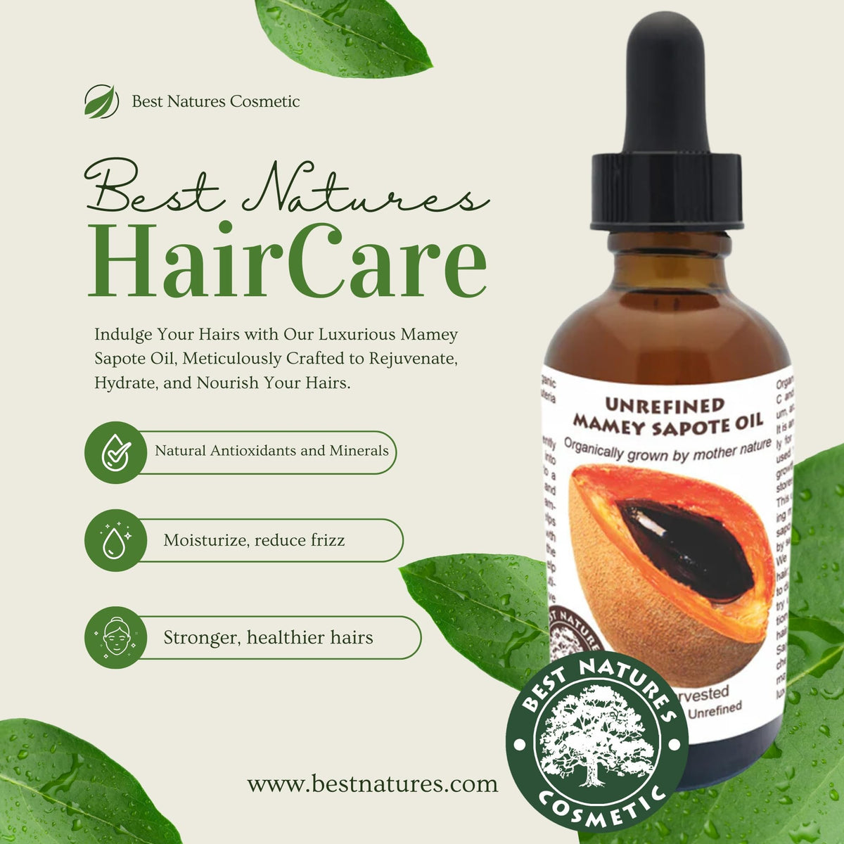 Best Nature's Cosmetics mamey seed close-up highlighting natural cold-pressed origin