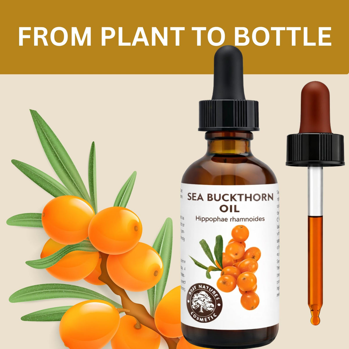 Best Nature's Cosmetics dark amber bottle close-up protecting oil from light