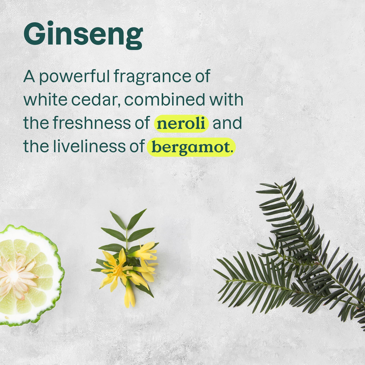 BIO SPECTRA ATTITUDE ingredient display highlighting ginseng and grapeseed