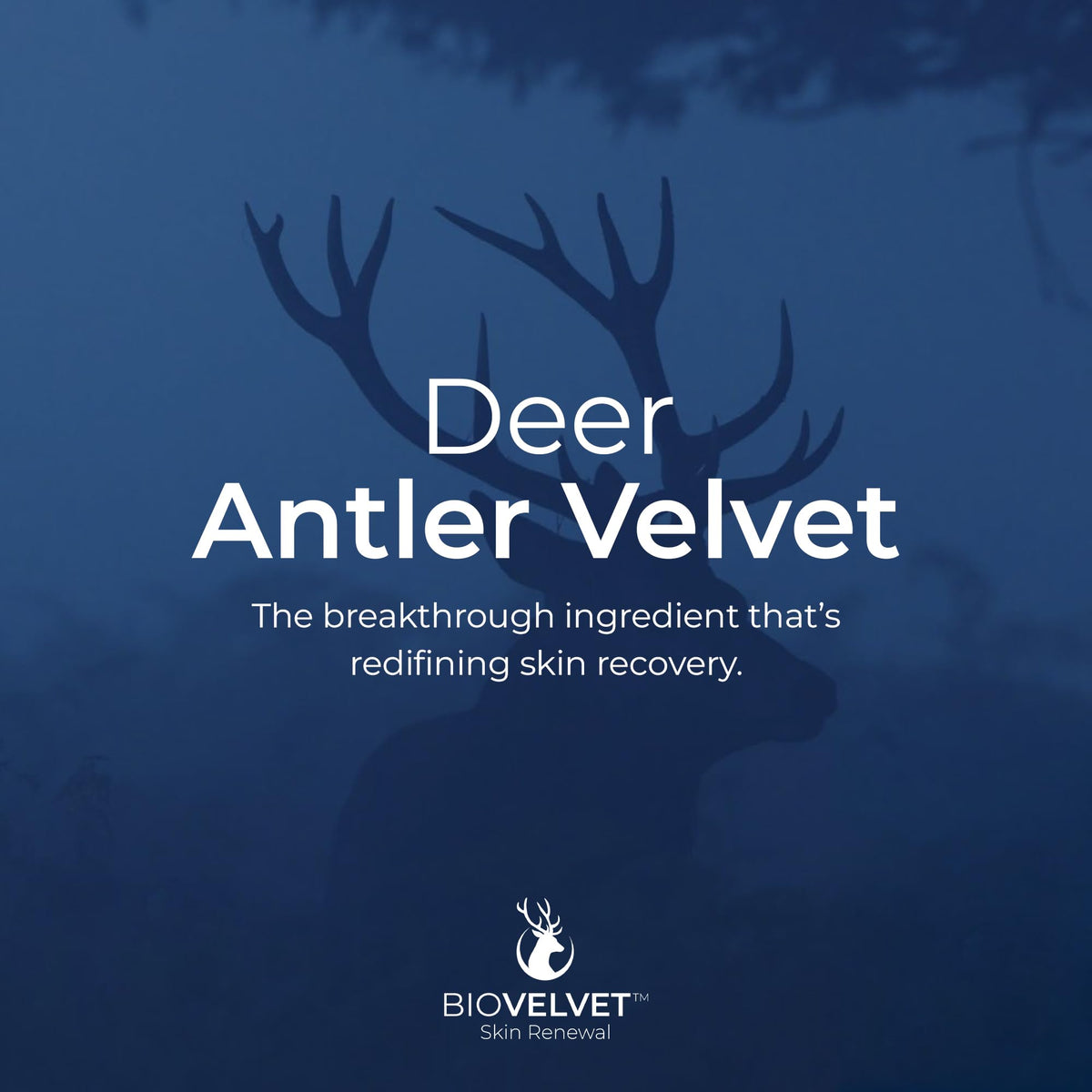 Bio Velvet in bathroom lifestyle setting suggesting everyday moisturizing routine
