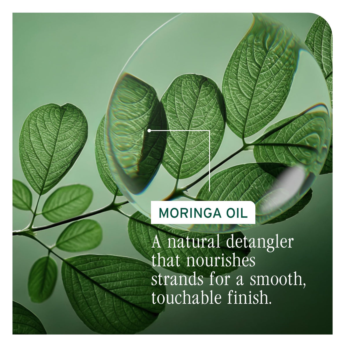 Biolage applying oil through mid-lengths and ends for smoother styling results