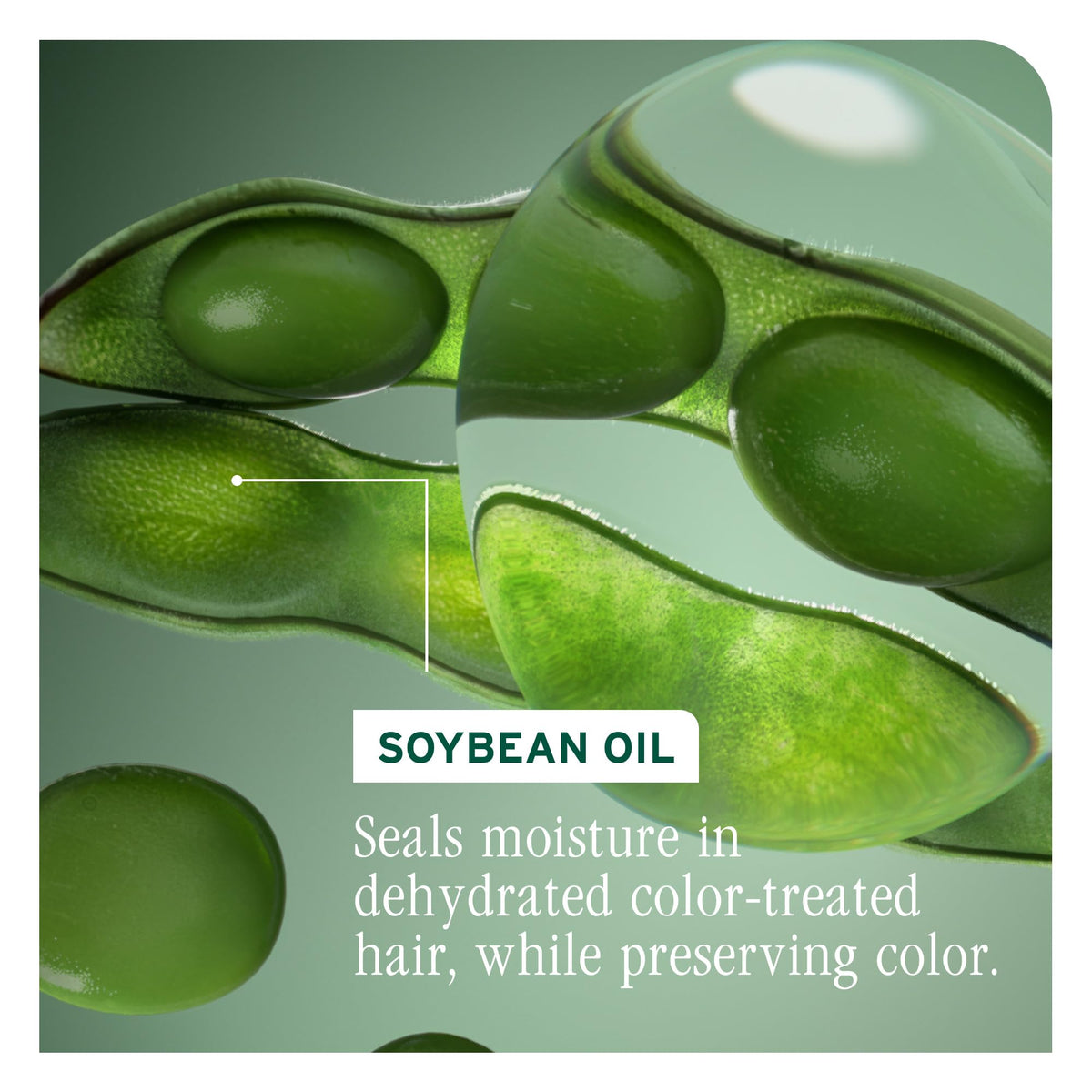 In-shower use of Biolage conditioner illustrating detangling benefit