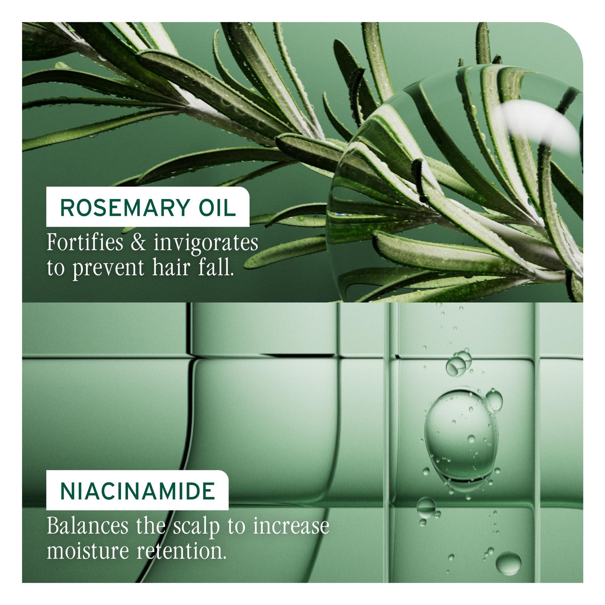 Biolage rosemary oil ingredient close-up highlighting nourishment benefit