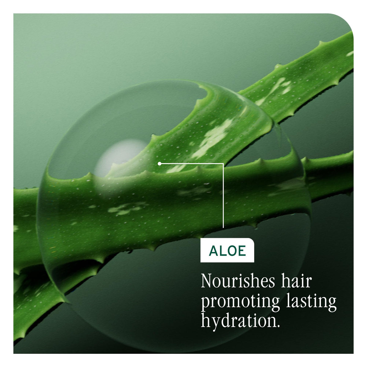 Biolage visual of hyaluronic element emphasizing deep hair penetration
