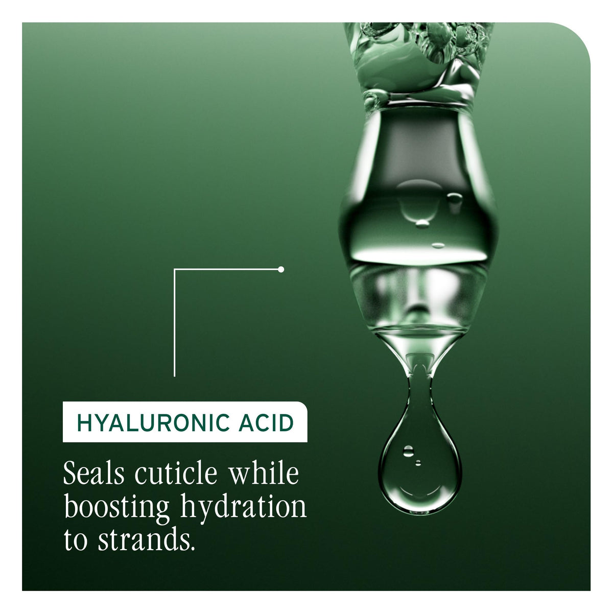Biolage Hydra Source on styled hair demonstrating softer, shinier, detangled finish