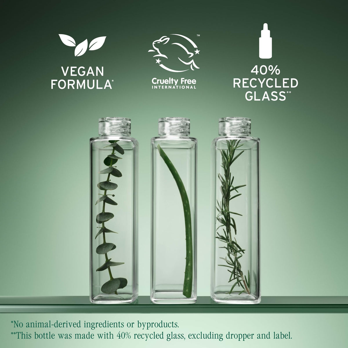 Biolage roots-looking-fresh after use illustrating reduced oil and freshness