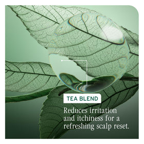 Biolage applied on a towel-dried scalp demonstrating targeted oil control