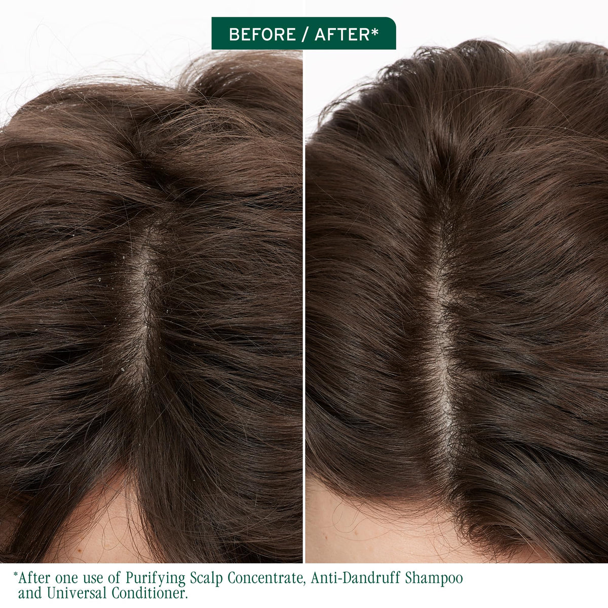 Biolage back label with ingredients list and usage benefits visible