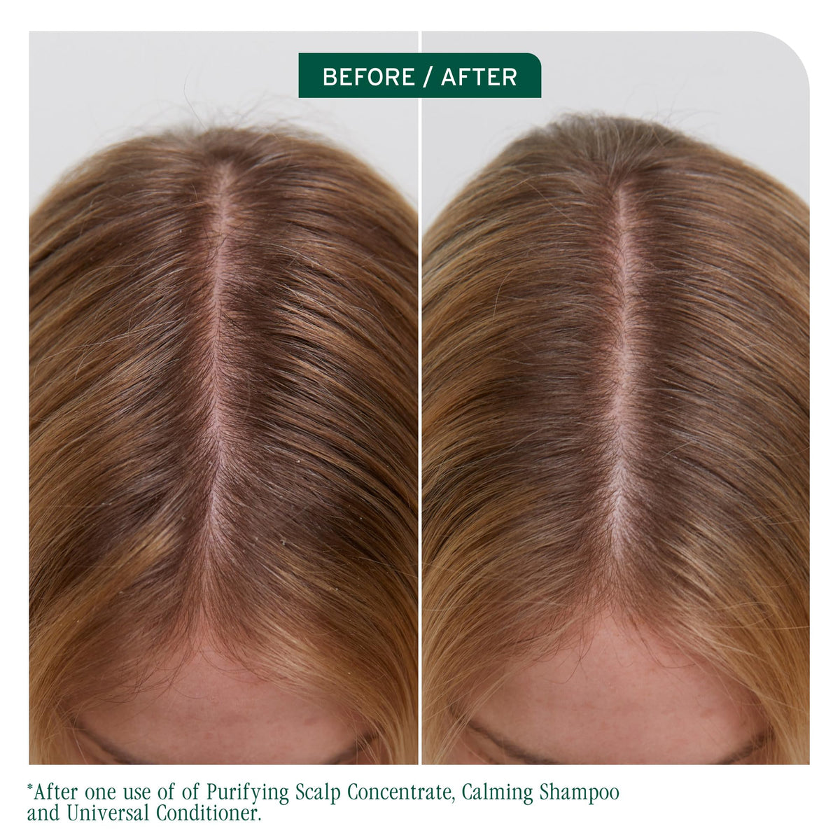 Biolage pump nozzle detail emphasizing easy dispensing and salon efficiency