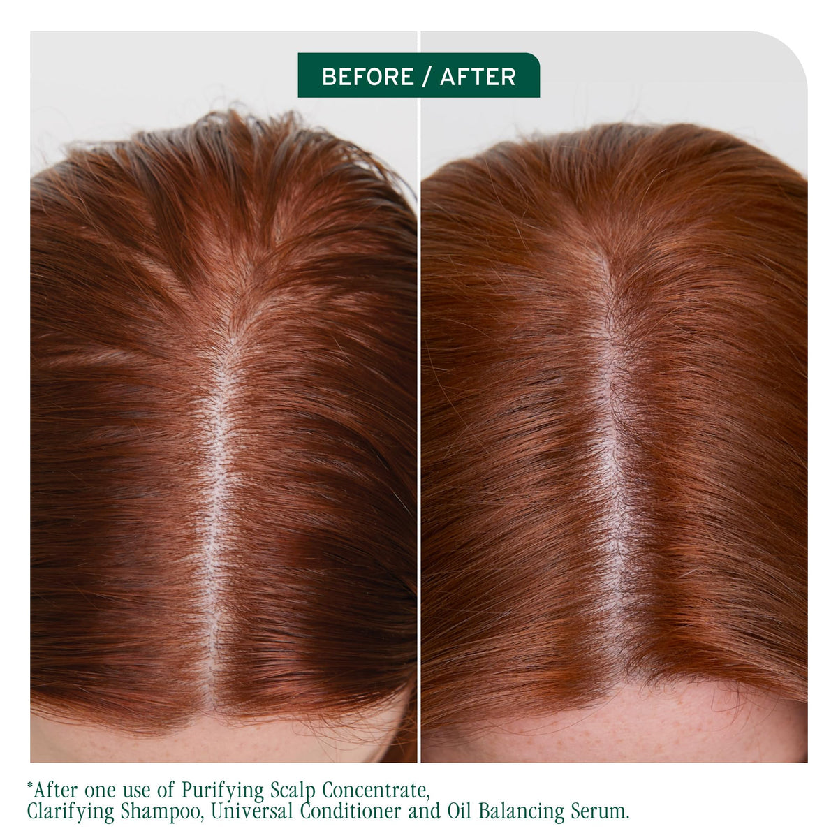 Biolage pump close-up highlighting dispenser for controlled, mess-free application