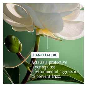 Biolage bottle staged on shower shelf conveying daily use convenience