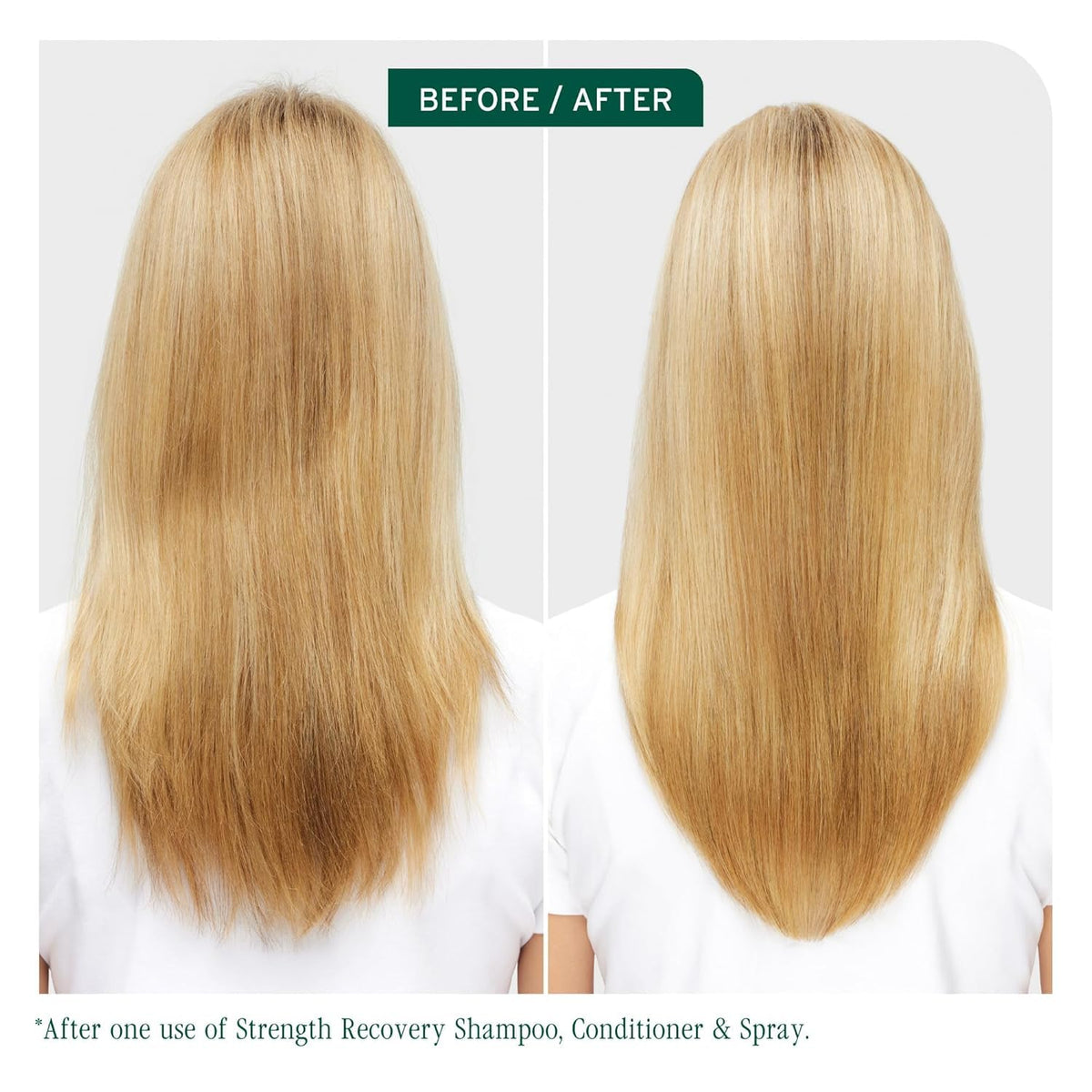 Biolage Strength Recovery bottle detail conveying repair benefits