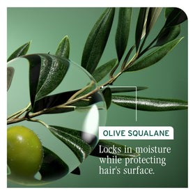 Biolage creamy foam texture demonstrating gentle detangling action