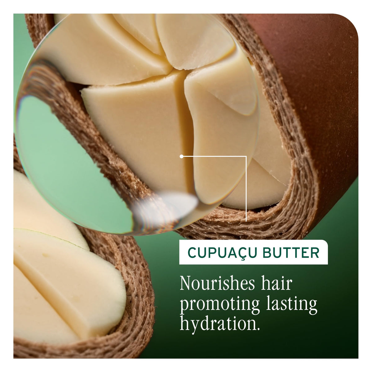 Biolage being applied to wet hair for deep conditioning and detangling