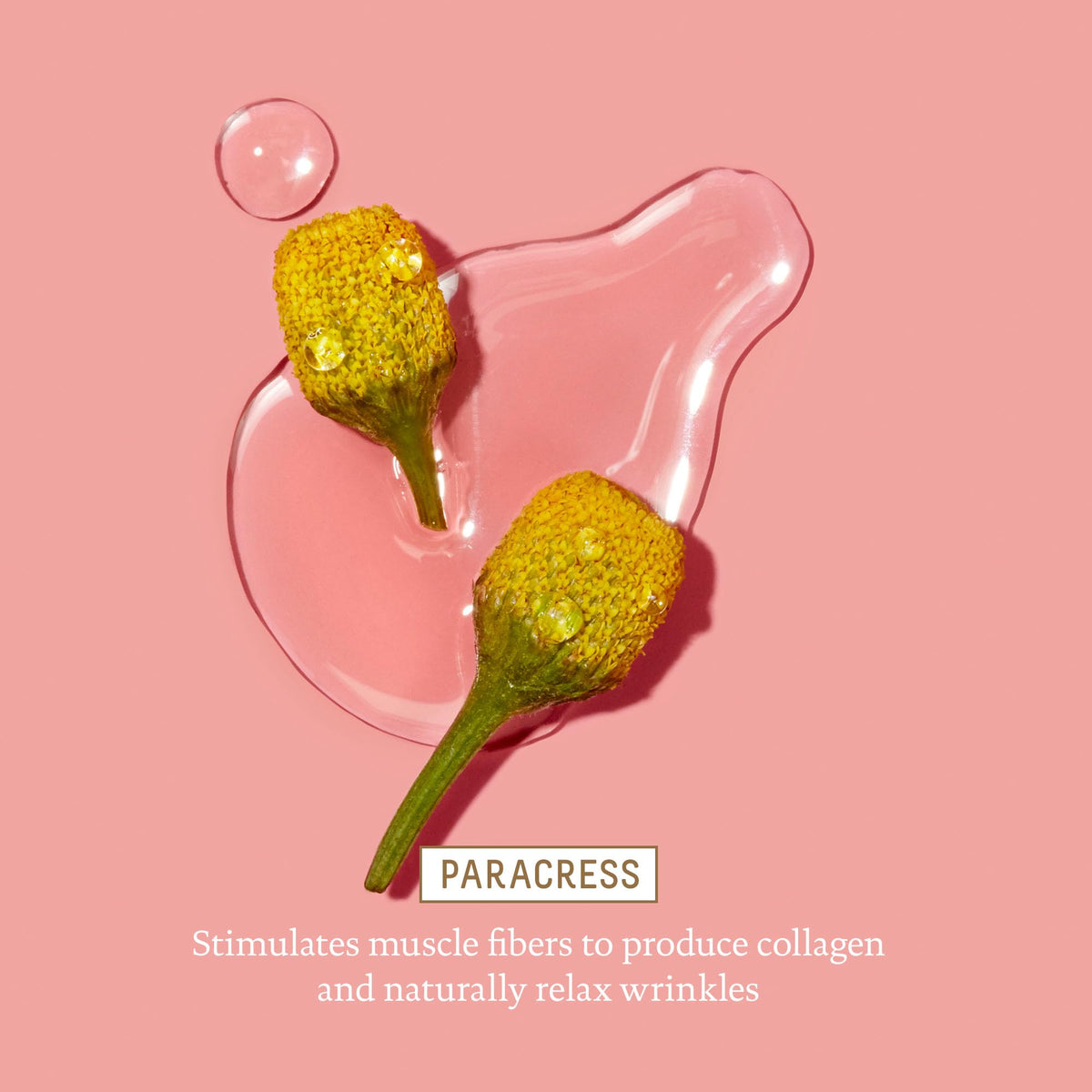 BIOSSANCE squalane molecule illustration emphasizing barrier hydration