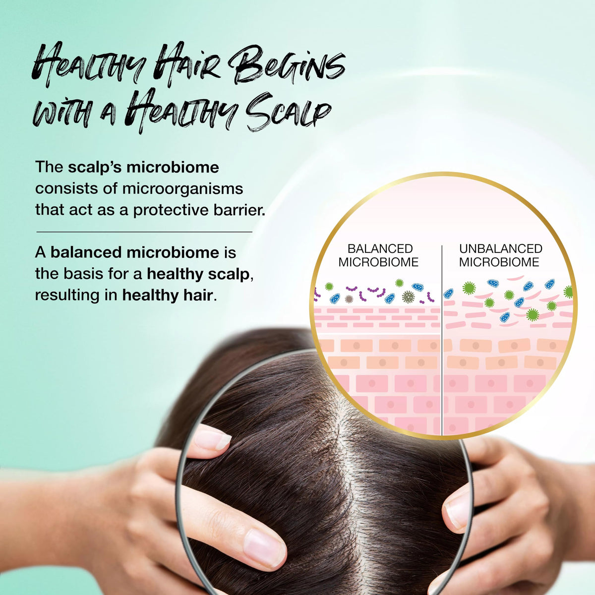Biotera coconut and pomegranate ingredients highlighting natural shine