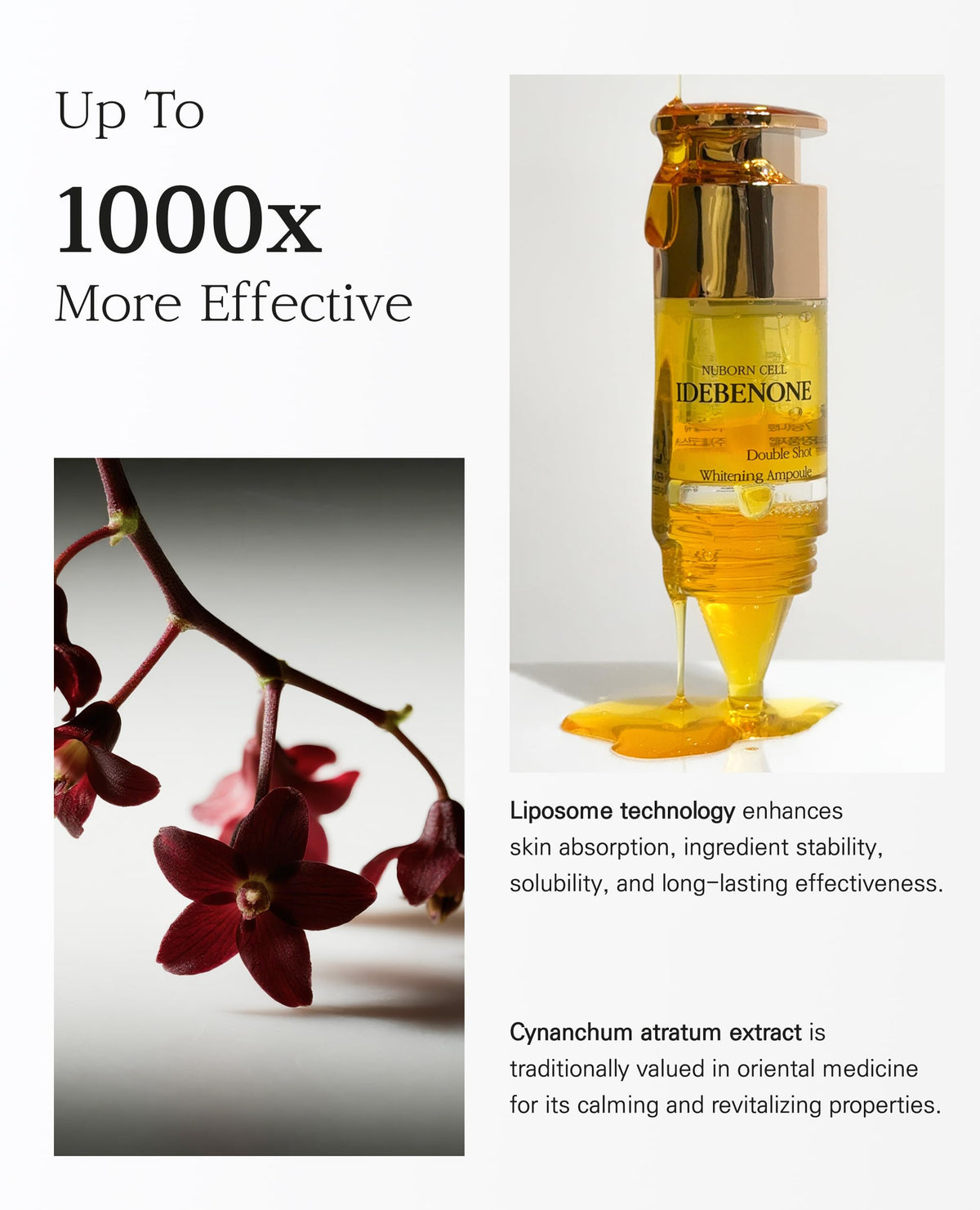 BLANC DUBU idebenone and niacinamide ingredient illustration emphasizing antioxidant brightening