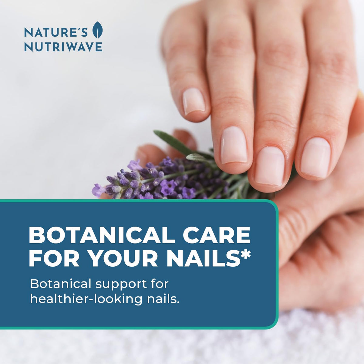 Nature’s NutriWave natural ingredients flatlay displaying lavender, almond, jojoba, and chia benefits
