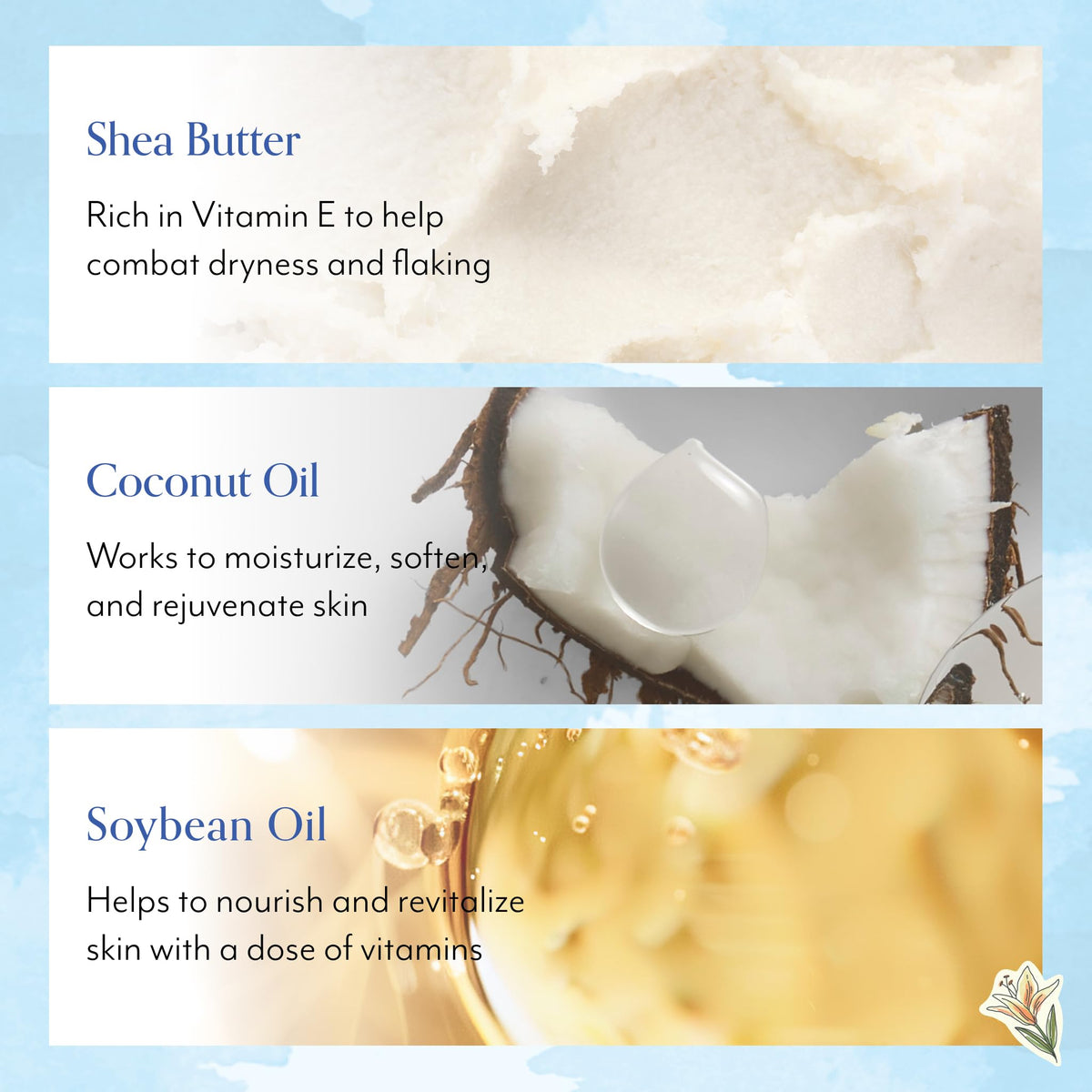 Bliss ingredients display with shea and coconut oils for deep nourishment