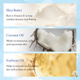 Bliss ingredients display with shea and coconut oils for deep nourishment