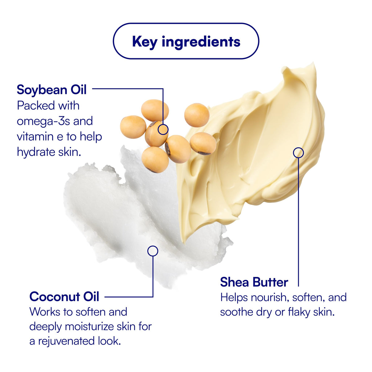 Bliss ingredients display including shea butter and botanical oils for nourishment