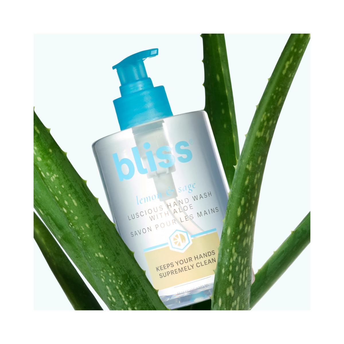 Bliss product size comparison with hands for scale and practical use