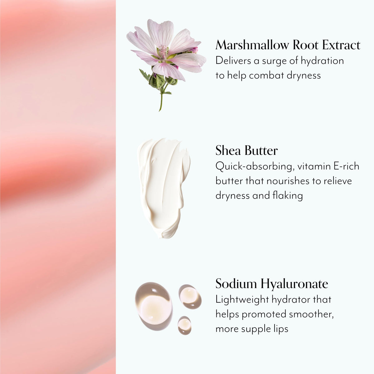 Bliss Mighty Marshmallow marshmallow root close-up highlighting natural hydration