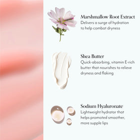 Bliss Mighty Marshmallow marshmallow root close-up highlighting natural hydration