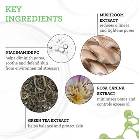 Bliss ingredient panel detail showing niacinamide and alcohol-free formulation