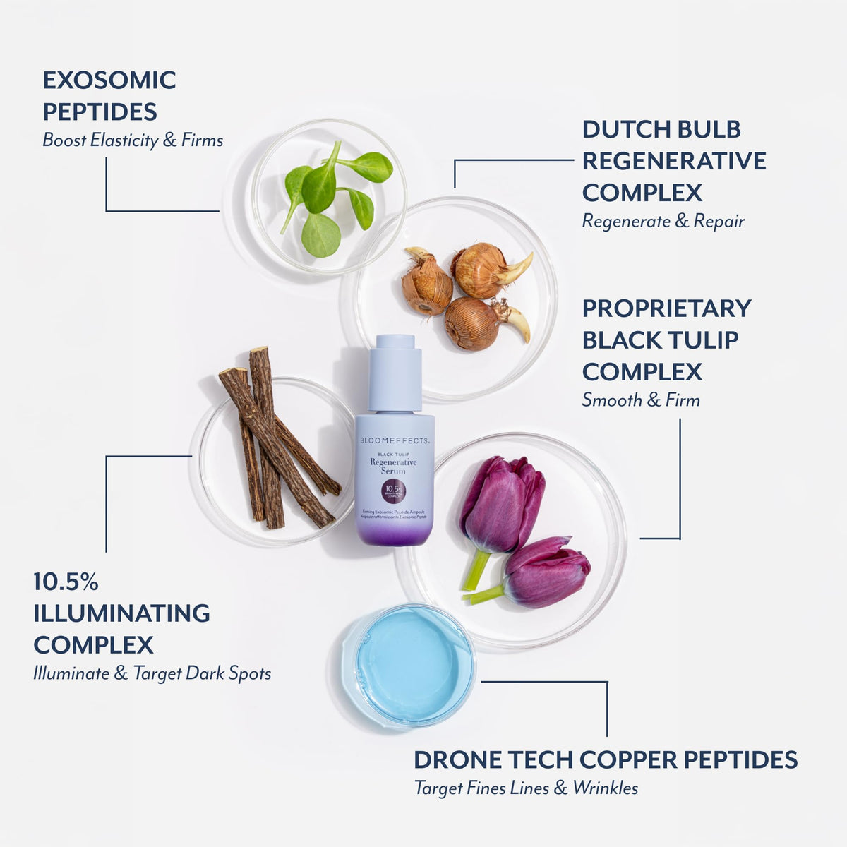 Bloomeffects key ingredients green tea and crocus bulb displayed for antioxidant benefits