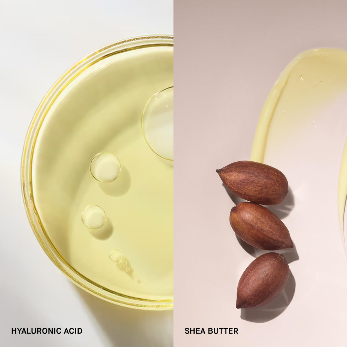 Bobbi Brown label and ingredients detail highlighting nourishing skincare benefits