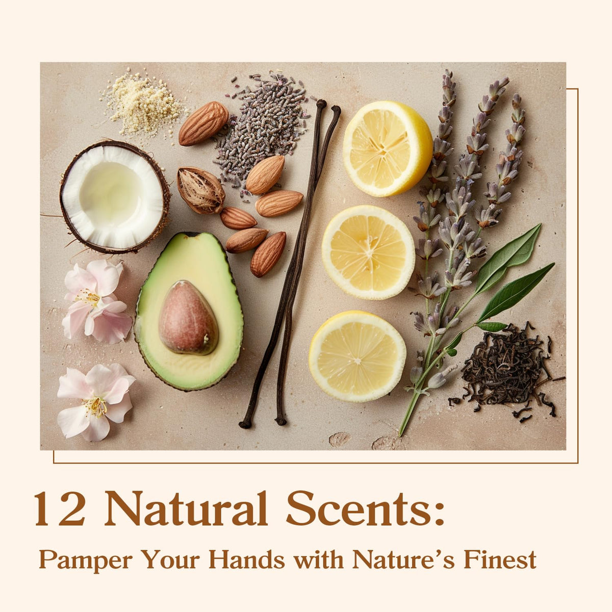 BODY & EARTH # LOVE next to a smartphone, demonstrates compact size