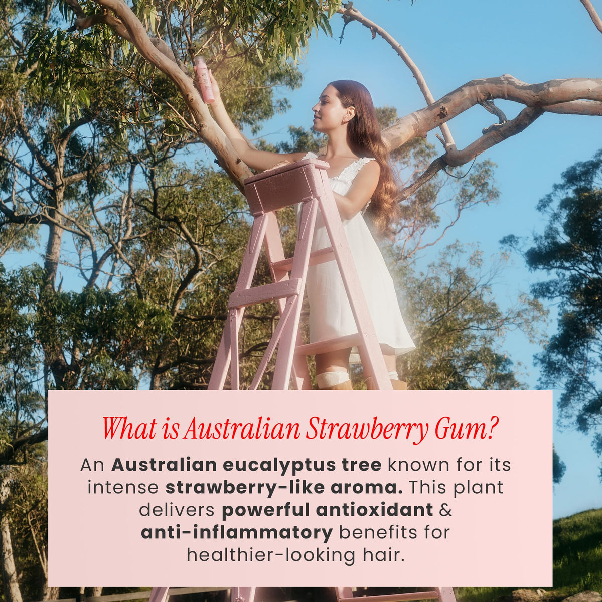 BONDIBOOST strawberry gum and biotin ingredients emphasizing nourishment