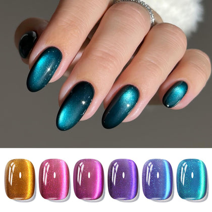 Born Pretty front packaging showing six magnetic gel bottles for salon-quality manicures