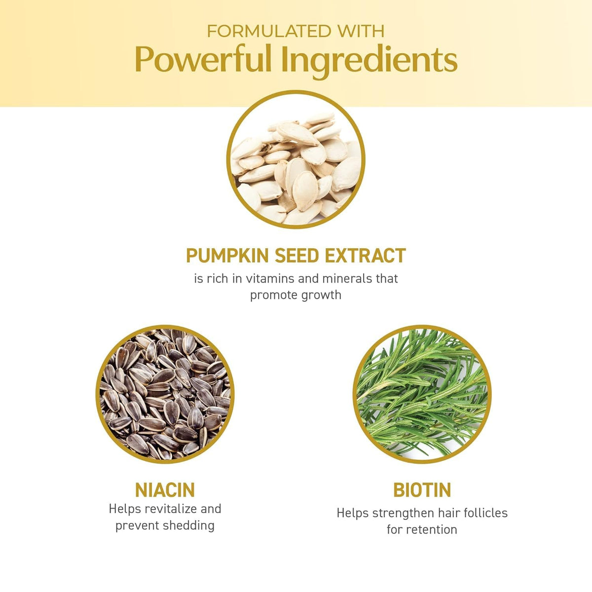 BosleyMD natural ingredients close-up with kelp and pumpkin seed to show strengthening benefits