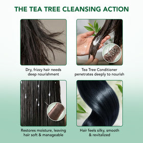 Botanic Hearth label close-up highlighting ingredients and clean-formula benefits
