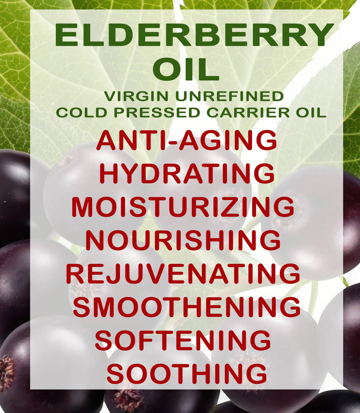 Botanical Beauty elderberry oil on bathroom shelf lifestyle nourishing routine